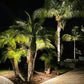 12 Pack Panora Solid Cast Brass Spot Lighting Kit - Lumiere Lighting