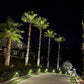 Panora Solid Cast Brass Spot/Accent Light Outdoor Landscape Lighting - Lumiere Lighting