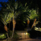 Chapelle Solid Cast Brass Path & Area Light - Low Voltage Landscape Lighting - Lumiere Lighting