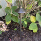 Pack V - Solid Cast Brass Outdoor Landscape Pathway & Spot Lighting