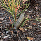 COMBO KIT V- Solid Cast Brass Outdoor Landscape Pathway & Spot Lighting - Lumiere Lighting