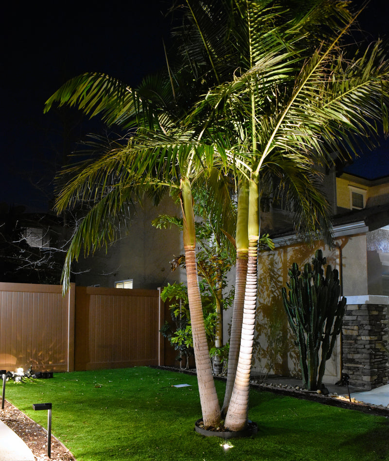 Noir LaTerrace Solid Brass Adjustable In-Ground Light | Outdoor Landscape Lighting - Lumiere Lighting