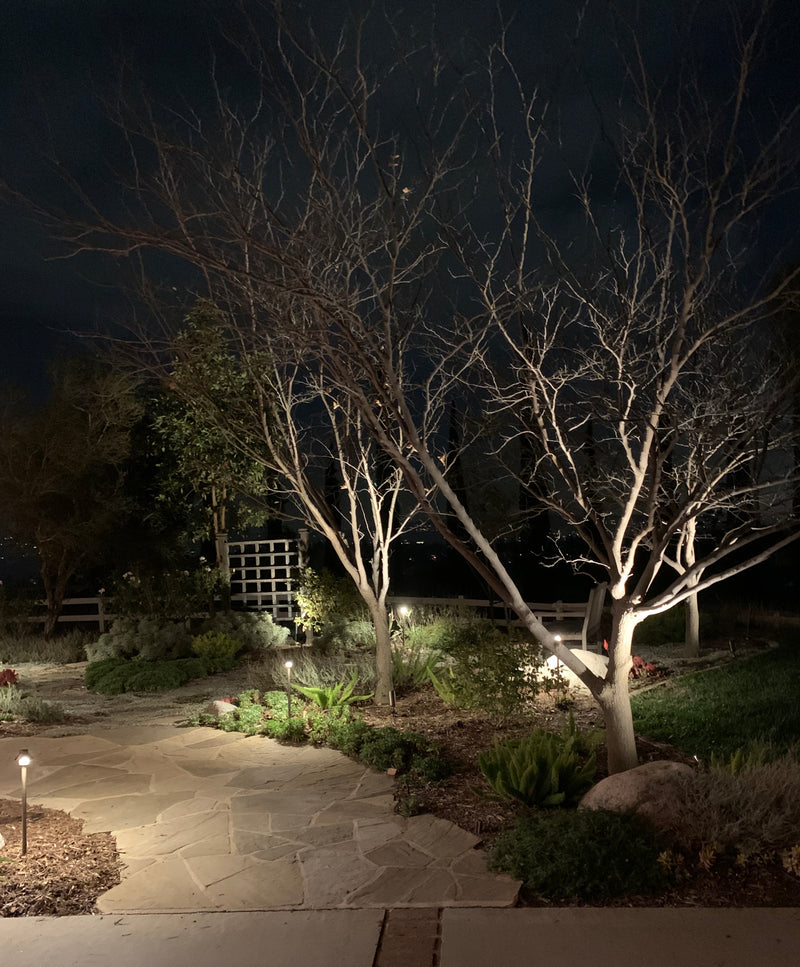 Cloche Solid Brass Path & Area Light | Outdoor Landscape Lighting - Lumiere Lighting