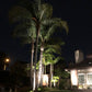 Noir Panora Solid Brass Spot/Accent Light Outdoor Landscape Lighting - Lumiere Lighting