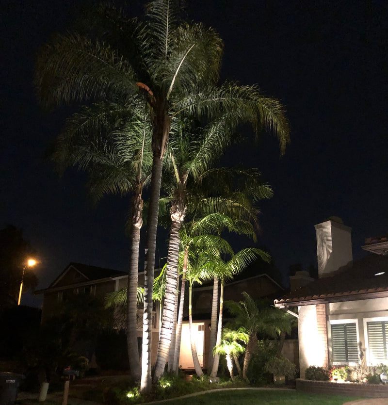 Noir Panora Solid Brass Spot/Accent Light Outdoor Landscape Lighting - Lumiere Lighting