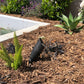 Noir Panora Solid Brass Spot/Accent Light Outdoor Landscape Lighting - Lumiere Lighting