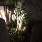 Chateau Solid Cast Brass Flood Light | Low Voltage Landscape LIghting - Lumiere Lighting