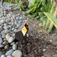 Chateau Solid Cast Brass Mini Flood Light Natural Bronze & Black