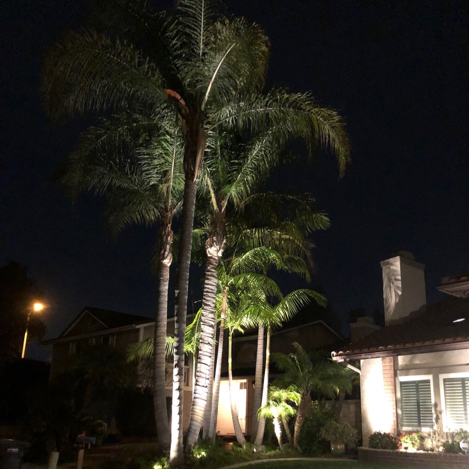 Noir Panora Solid Brass Spot/Accent Light Outdoor Landscape Lighting - Lumiere Lighting