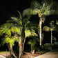 12 Pack Noir Panora Solid Cast Brass Spot Lighting Kit - Lumiere Lighting