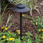 Noir Spectra Solid Brass Spread Pathway Light - Lumiere Lighting