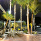 12 Pack Nouve Elysee Solid Brass Spot Lighting Kit - Lumiere Lighting