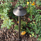Capuchon Cast Solid Brass Path & Area Light - Outdoor Low Voltage Landscape Lighting - Lumiere Lighting