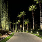 8 Pack Elysee Solid Brass Spot Light Outdoor Landscape Lighting - Lumiere Lighting